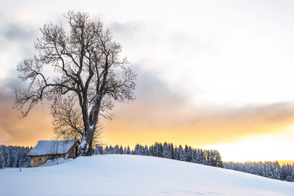 Meilleures photos concours 2024