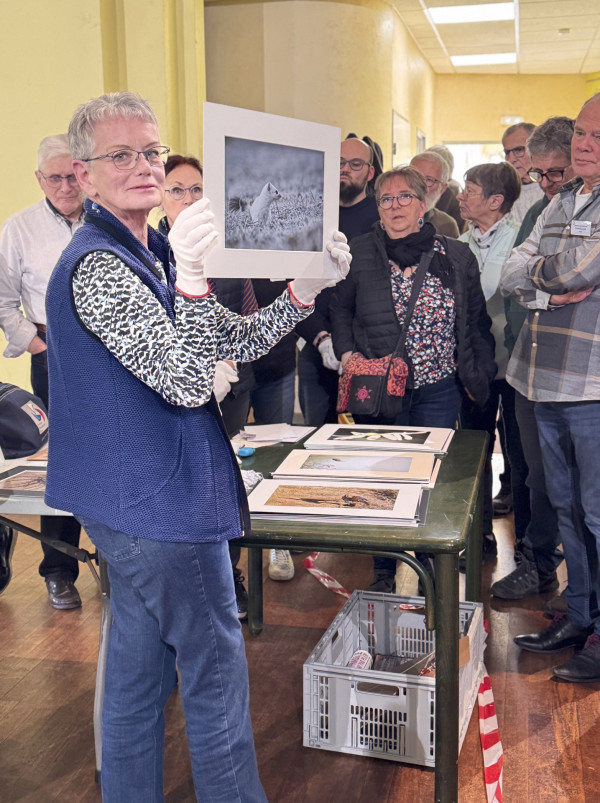 Journée jugement concours régionaux 2025 à Colombier Fontaine