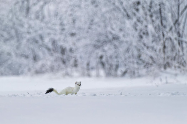 Meilleures photos concours 2025