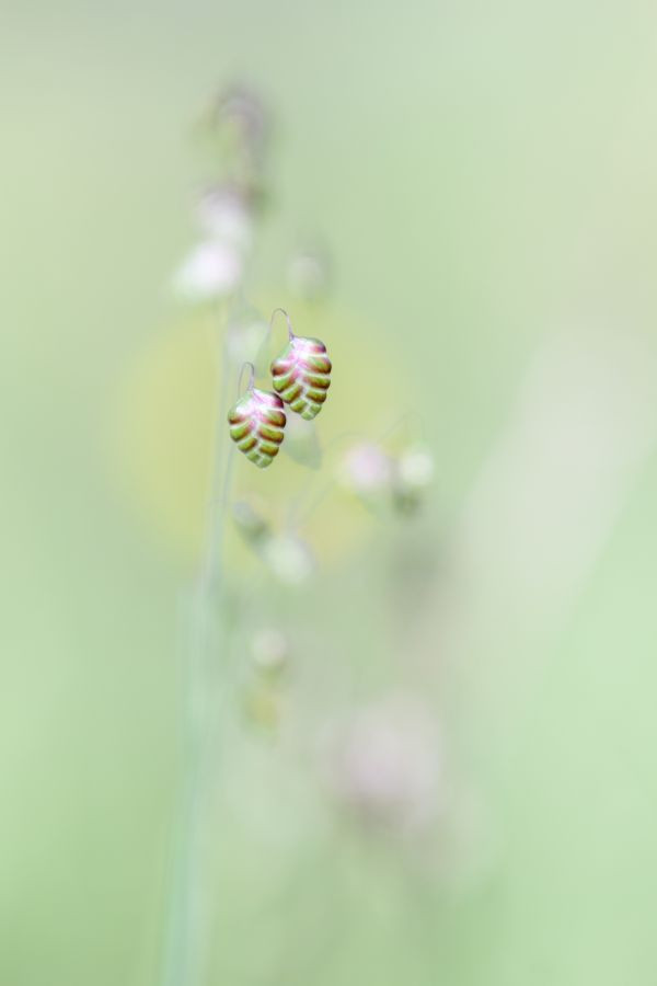 Meilleures photos concours 2025