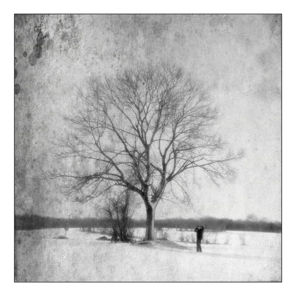 Meilleures photos concours 2025
