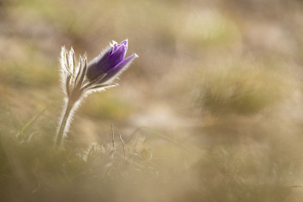 Meilleures photos concours 2025