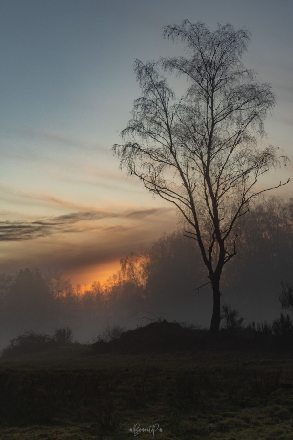 Photo: Benoit Paitre