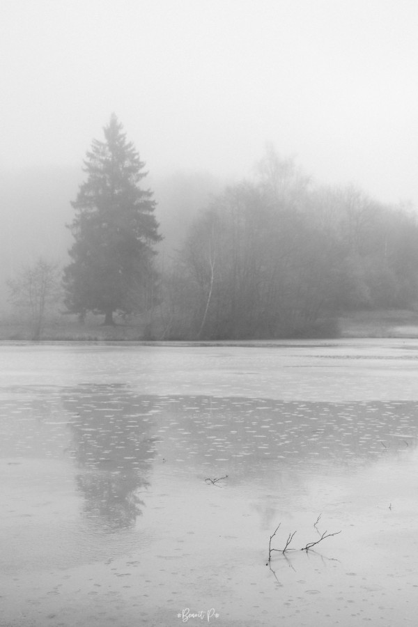 Photo: Benoit Paitre