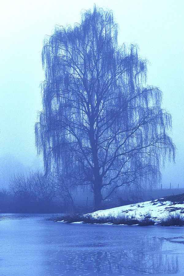 Photo: Claire Monsillon