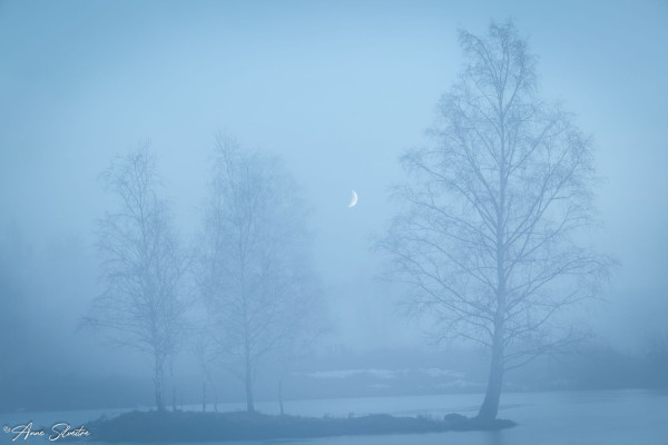 Photo: Anne Silvestre