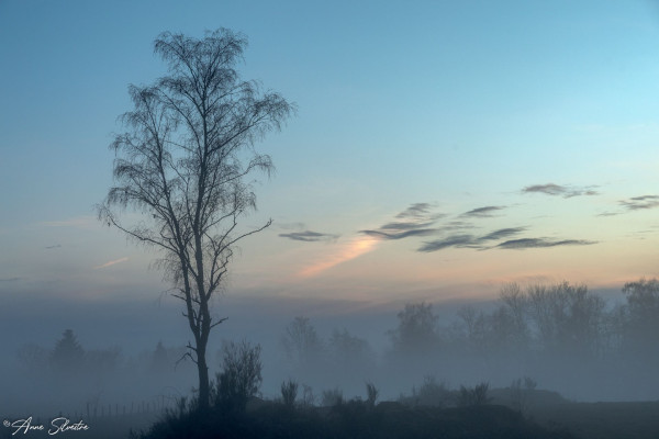 Photo: Anne Silvestre