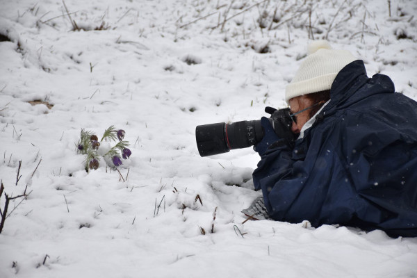 sortie du 14 mars2026