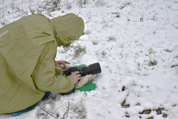 sortie du 14 mars2026