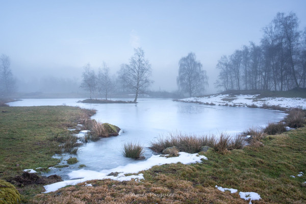 Photo: Agnes Pasquier