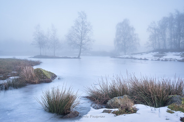 Photo: Agnes Pasquier