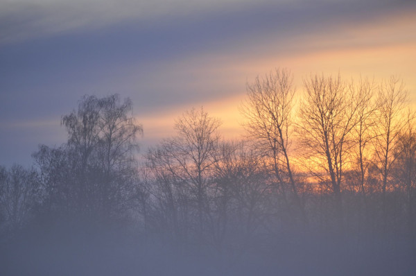 Photo: Claire Monsillon